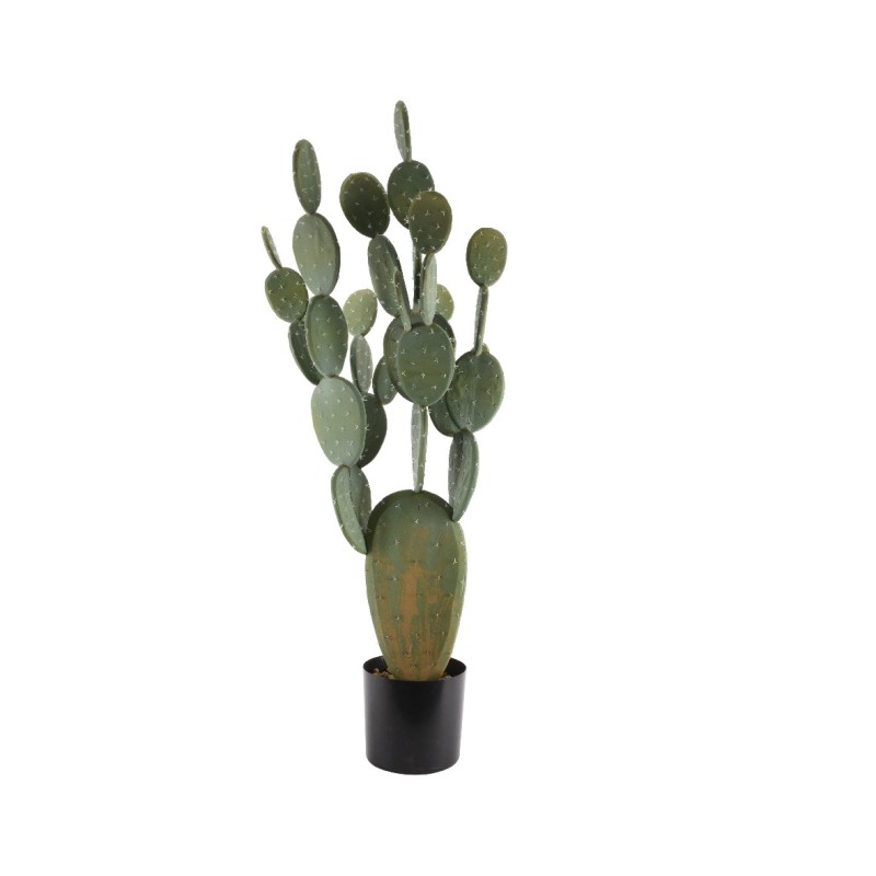 CACTUS IN PLASTICA