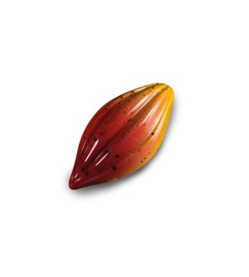 COCOA PRALINE STAMPO POLICARBONAT